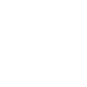 Divine Metal & Alloys 